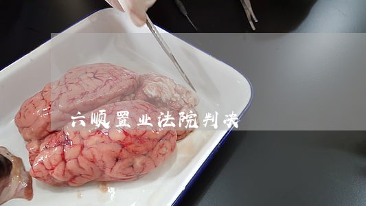 六顺置业法院判决 六顺置业法院判决