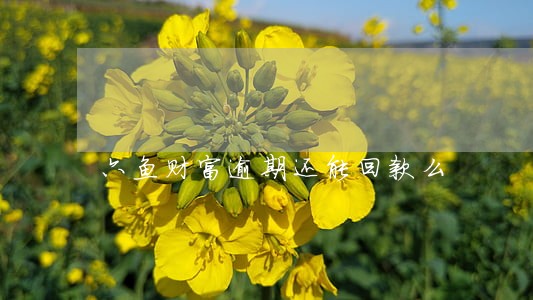 六鱼财富逾期还能回款么