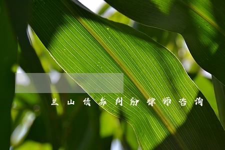 兰山债务纠纷律师咨询 兰山债务纠纷律师咨询
