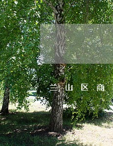 兰山区商事仲裁法律咨询 兰山区商事仲裁法律咨询