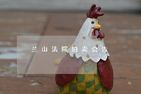 兰山法院拍卖公告