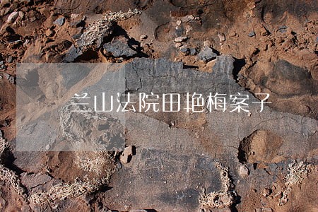 兰山法院田艳梅案子 兰山法院田艳梅案子