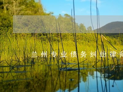 兰州专业债务纠纷律师