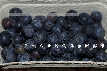 兰州专业的债务合同律师法律服务 兰州专业的债务合同律师法律服务