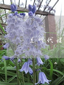 兰州代理债权债务律师法律咨询 兰州代理债权债务律师法律咨询
