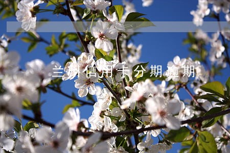 兰州信用卡分期逾期 兰州信用卡分期逾期