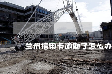 兰州信用卡逾期了怎么办 兰州信用卡逾期了怎么办