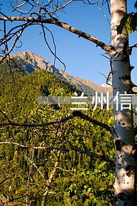 兰州信用卡逾期处理公司