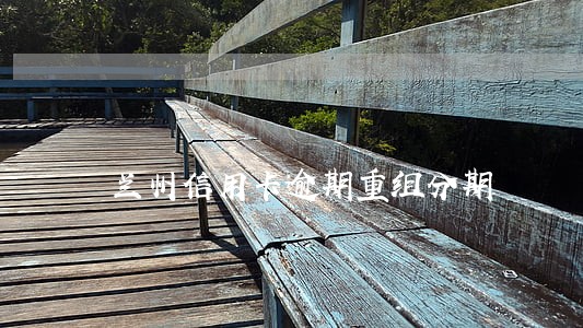 兰州信用卡逾期重组分期