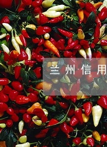 兰州信用卡逾期黑名单消除 兰州信用卡逾期黑名单消除