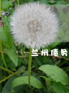 兰州债务律师法律咨询 兰州债务律师法律咨询