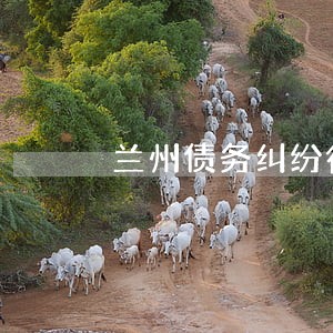 兰州债务纠纷律师咨询免费