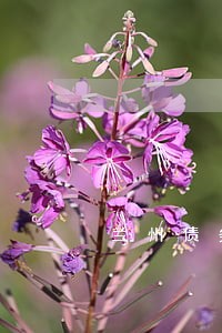 兰州债务纠纷律师推荐 兰州债务纠纷律师推荐
