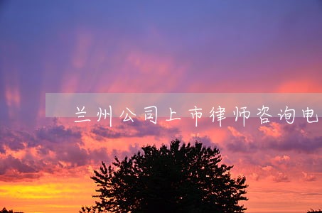 兰州公司上市律师咨询电话 兰州公司上市律师咨询电话