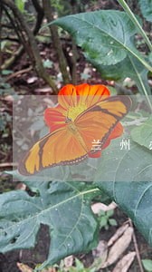 兰州办理债务律师法律咨询 兰州办理债务律师法律咨询