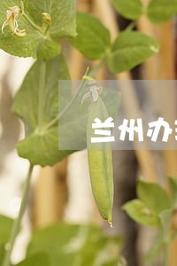兰州办理债务纠纷律师多少钱 兰州办理债务纠纷律师多少钱