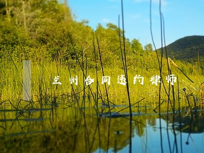 兰州合同违约律师 兰州合同违约律师