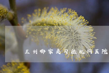 兰州哪家是司法机构医院 兰州哪家是司法机构医院