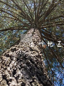 兰州地区找债务合同律师推荐