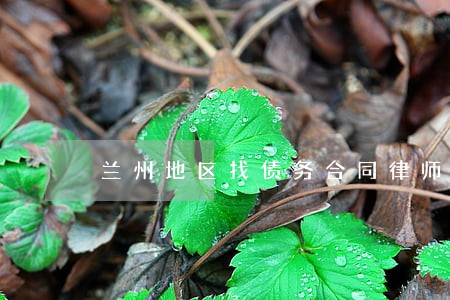 兰州地区找债务合同律师法律服务 兰州地区找债务合同律师法律服务
