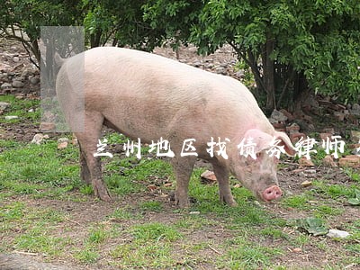 兰州地区找债务律师多少钱 兰州地区找债务律师多少钱
