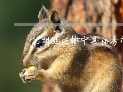 兰州地区榆中县债务律师法律咨询 兰州地区榆中县债务律师法律咨询