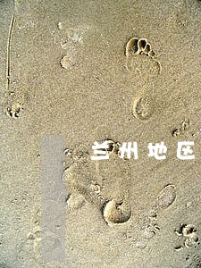 兰州地区红古区债务律师团队 兰州地区红古区债务律师团队