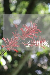 兰州城关区法院新亿天华