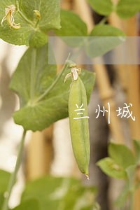 兰州城关法院判决毛毯一案 兰州城关法院判决毛毯一案