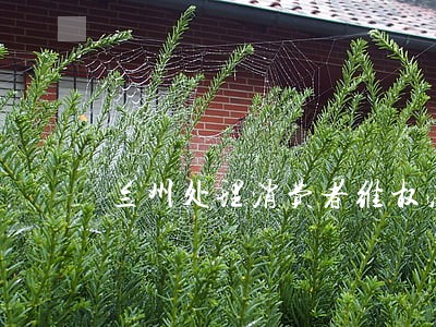 兰州处理消费者维权法律问题律师