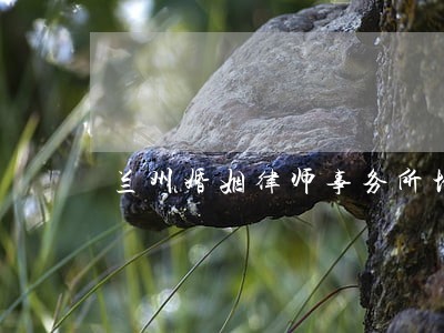 兰州婚姻律师事务所地址 兰州婚姻律师事务所地址