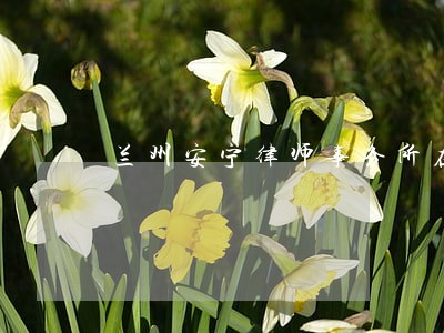 兰州安宁律师事务所在哪里 兰州安宁律师事务所在哪里