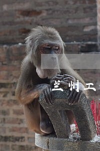兰州工伤赔偿免费法律咨询热线
