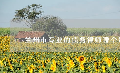 兰州市专业的债务律师哪个好 兰州市专业的债务律师哪个好