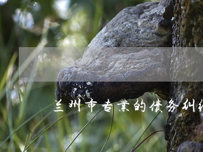 兰州市专业的债务纠纷律师团队 兰州市专业的债务纠纷律师团队