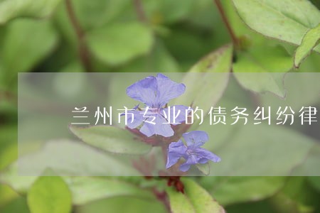 兰州市专业的债务纠纷律师推荐 兰州市专业的债务纠纷律师推荐