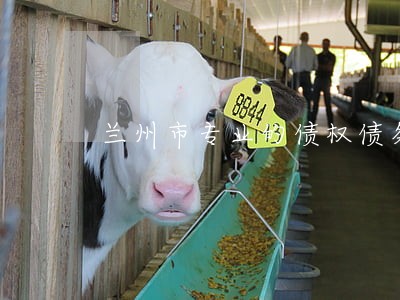 兰州市专业的债权债务律师多少钱 兰州市专业的债权债务律师多少钱