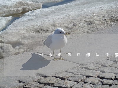 兰州市债务律师法律服务 兰州市债务律师法律服务