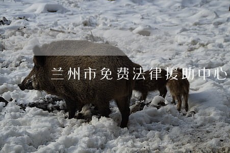 兰州市免费法律援助中心