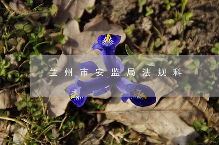 兰州市安监局法规科