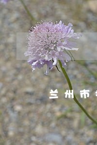 兰州市找债务律师哪里找 兰州市找债务律师哪里找