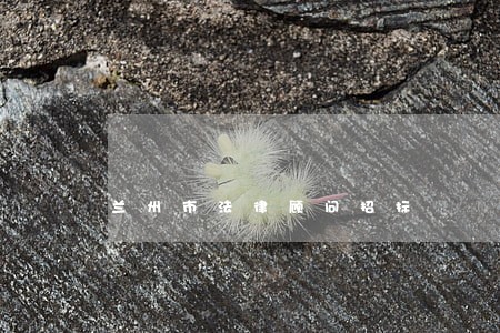 兰州市法律顾问招标 兰州市法律顾问招标