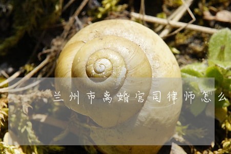 兰州市离婚官司律师怎么委托 兰州市离婚官司律师怎么委托