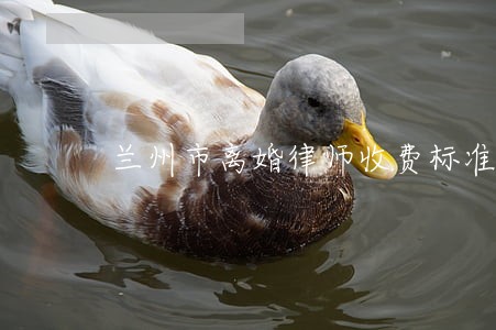 兰州市离婚律师收费标准 兰州市离婚律师收费标准