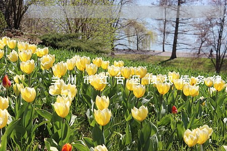 兰州市红古区债权债务律师 兰州市红古区债权债务律师