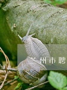 兰州市聘请债务律师收费标准 兰州市聘请债务律师收费标准