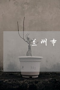 兰州市高新区债权债务律师团队 兰州市高新区债权债务律师团队