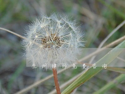 兰州律师免费咨询 兰州律师免费咨询