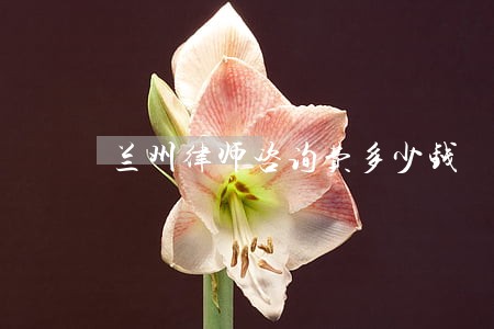 兰州律师咨询费多少钱 兰州律师咨询费多少钱