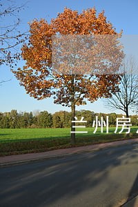 兰州房产纠纷律师 兰州房产纠纷律师